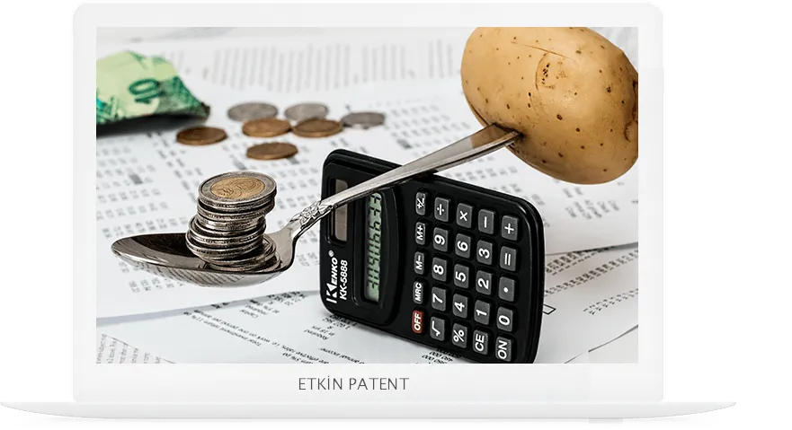 finansal davranışlara dair kombinasyon modeller-altındağ patent